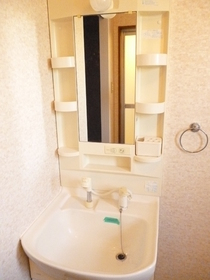 Washroom. Bathroom Vanity