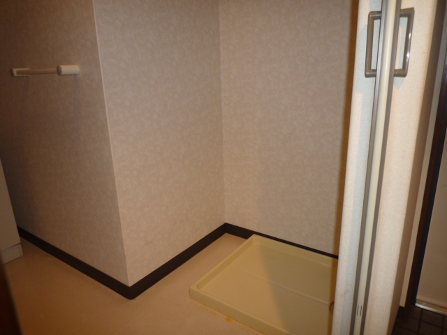 Other room space. Laundry Area