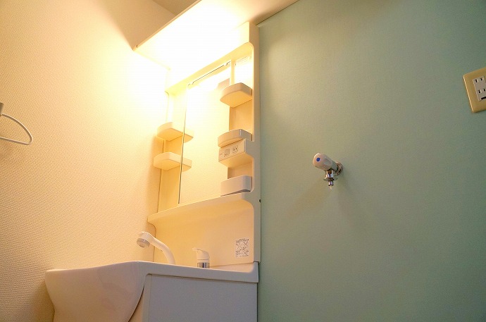 Washroom. Shampoo dresser