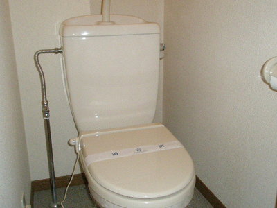 Toilet. Toilet