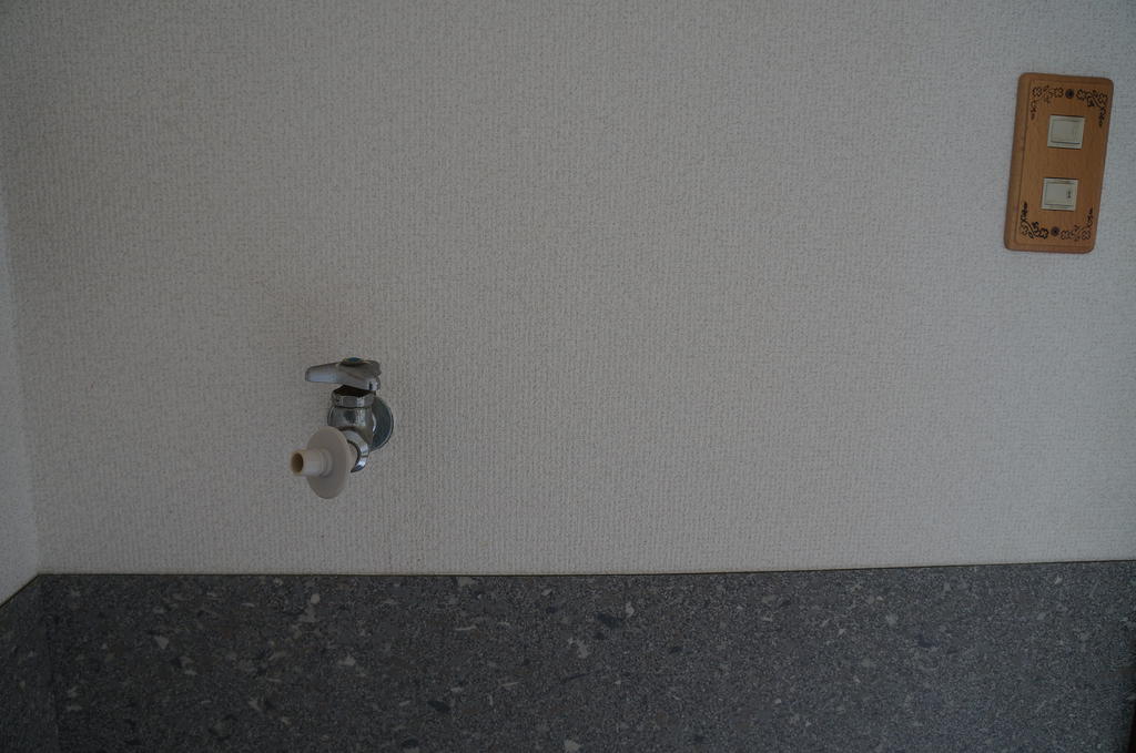 Washroom. It is with in-room washing machine storage