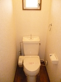 Toilet. Cleaning toilet seat