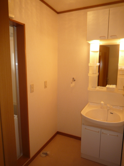 Washroom. Shampoo dresser in with the upper and lower storage