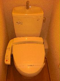 Toilet. Warm water washing toilet seat
