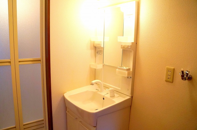 Washroom. Shampoo is Dresser