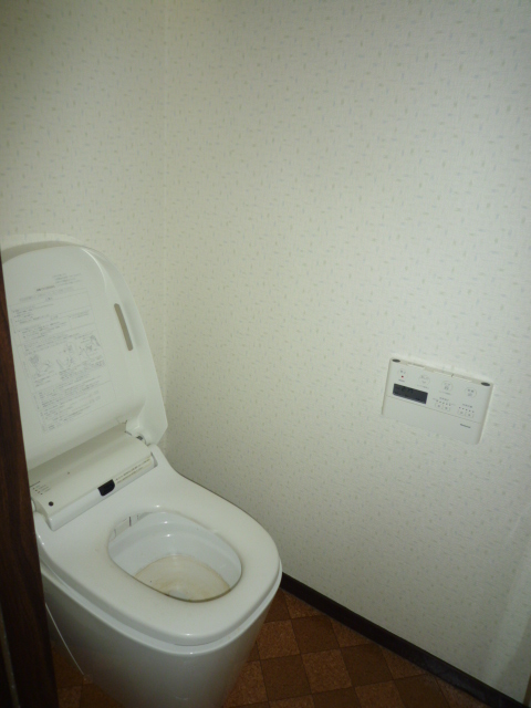 Toilet. Warm water washing toilet seat