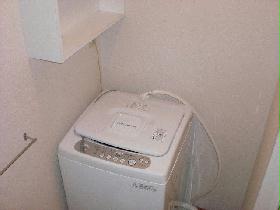 Other. It is washing machine! This is useful also attached shelf! 