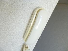 Other. Even the intercom to survive if there