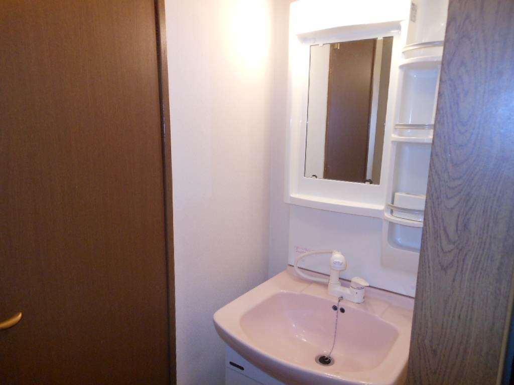 Washroom. Shampoo basin with vanity