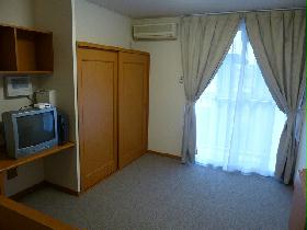 Living and room. Is the closet to look in the back