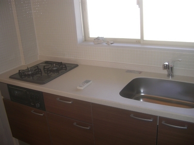 Kitchen. Dishes fun with new kitchen