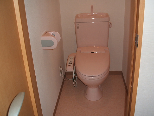 Toilet. In cleaning toilet seat, Ass beautiful! 