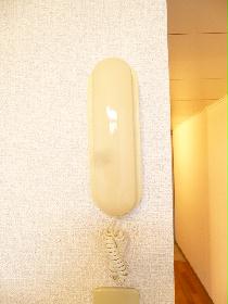 Other. It is with intercom! 