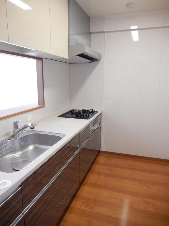 Kitchen. City gas, System kitchen