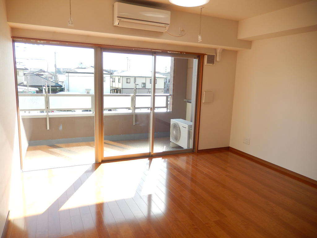 Living and room. With a balcony on the north side, This room is bright