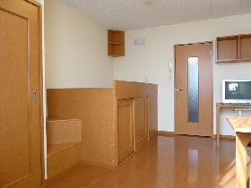 Living and room. Built-in storage with a bed! 