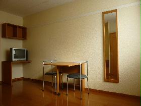 Living and room. Full-length mirror comes with a!