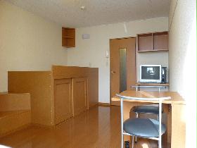 Living and room. The left side is the bed with built-in storage!