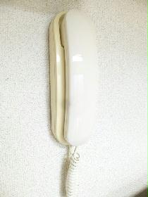 Other. It is with intercom! 