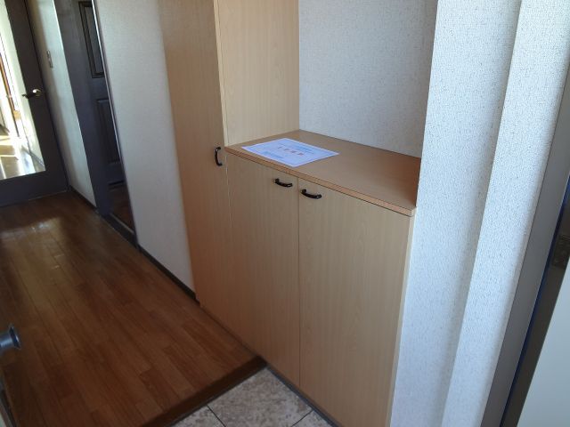 Entrance. If you are clean is a shoe box with a storage capacity. 