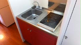 Kitchen. Rest assured that the electric stove