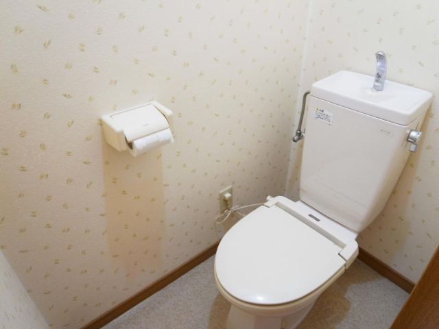 Toilet. This space is calm. 