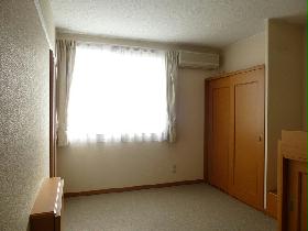 Living and room. Is the closet to look in the back