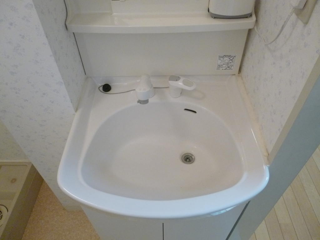 Washroom. It is a wash basin with a shower!