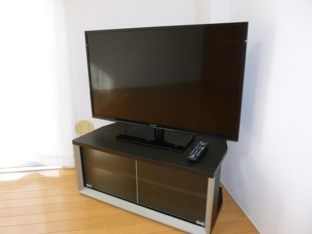 Living and room. TV comes with equipment.