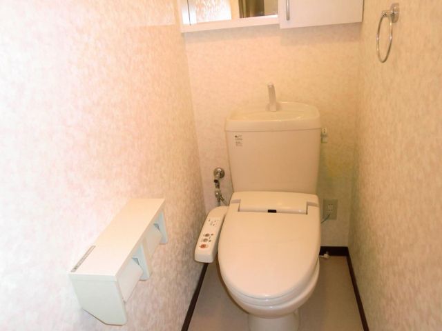 Toilet