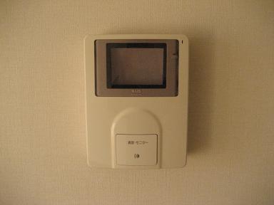 Security. TV with door phone of peace of mind