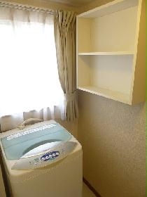 Other. Also it comes with a shelf in the washing machine wall