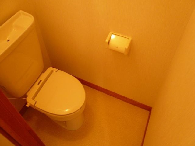 Toilet. Clean toilet.