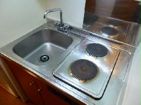 Kitchen. Since the electric stove (2 burners), Peace of mind