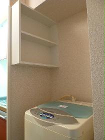 Other. Washing machine shelf is also convenient