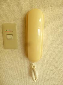 Other. Also with intercom!