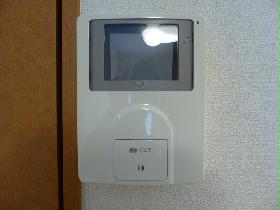 Other. Also it comes with intercom with monitor