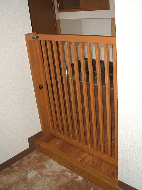 Other. It comes with the front door.