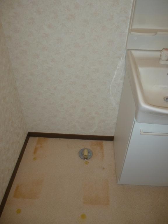 Other. Washing machine in the room