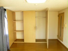 Other. Closet can store plenty!