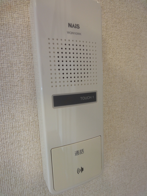 Other. It is intercom