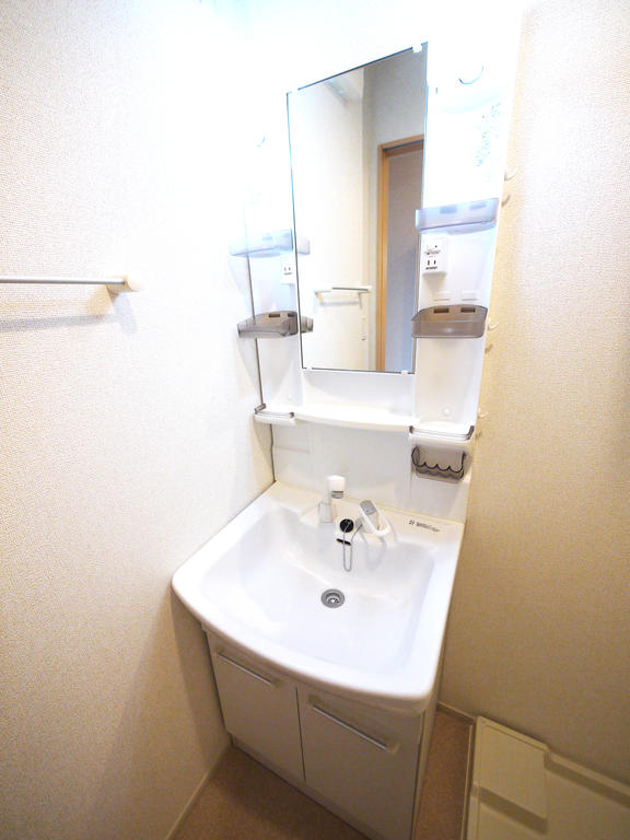 Washroom. Washbasin with shower