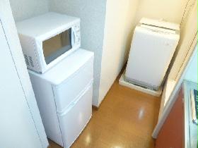 Other. Microwave and refrigerator and washing machine