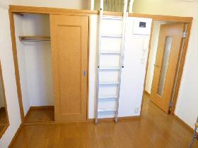 Living and room. The left hand side, It is a closet