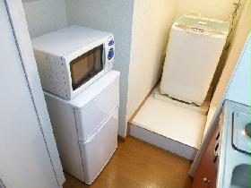Other. Microwave & refrigerator and washing machine