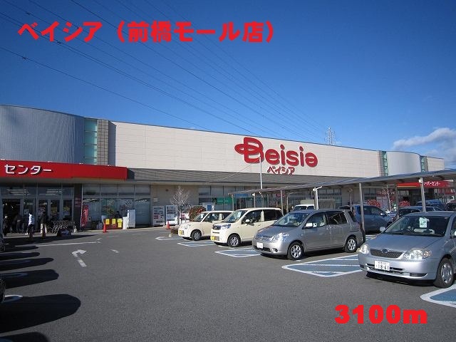 Supermarket. Beisia until the mall (supermarket) 3100m