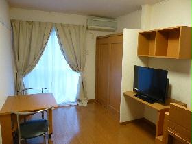 Living and room. Is the closet to look in the back