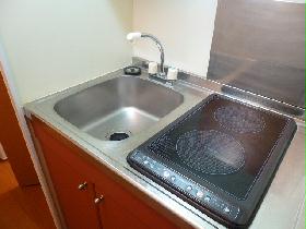 Kitchen. It is an electric stove 2-neck