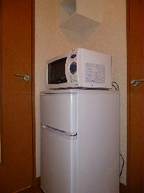 Other. Even shelves in the microwave oven and on the refrigerator