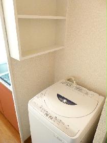 Other. Washing machine here also there is a shelf